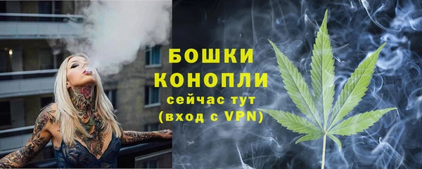 амф Сосновый Бор