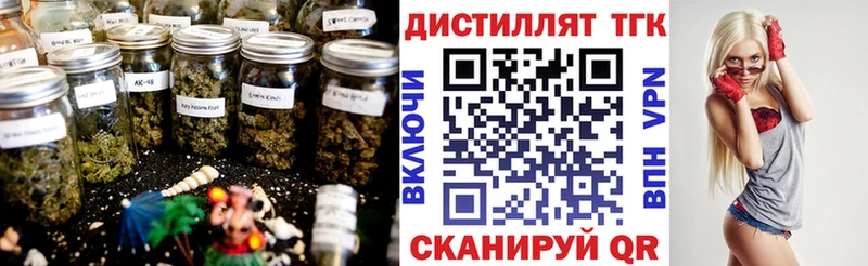ТГК THC oil  купить   Чудово 