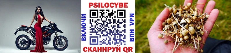 Галлюциногенные грибы мухоморы  Чудово 